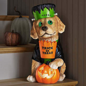 Member's Mark Pre-Lit Wonky Eye Character Decor